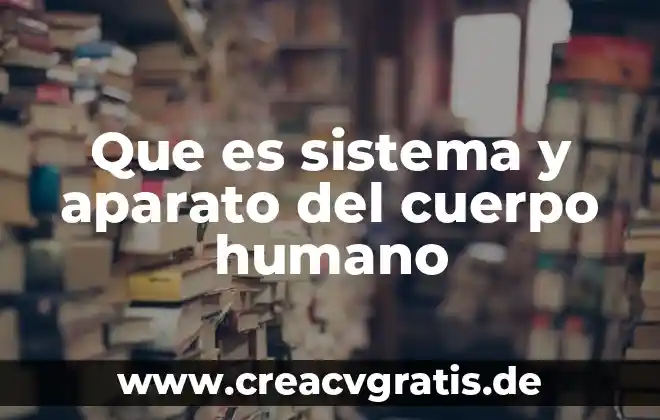 Que es el sistema detector de fuego por puntos 6 Que es sistema y aparato del cuerpo humano
