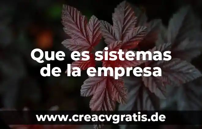 Que es la objetivo una empresa 5 Que es sistemas de la empresa