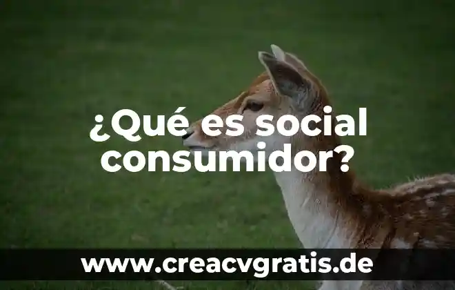 Denominación o razón social que es 7 ¿Qué es social consumidor?