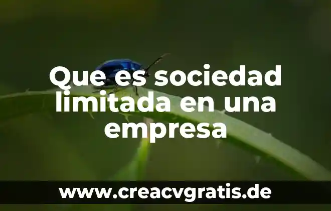 Sociedad de responsabilidad limitada de capital variable que es 6 Que es sociedad limitada en una empresa