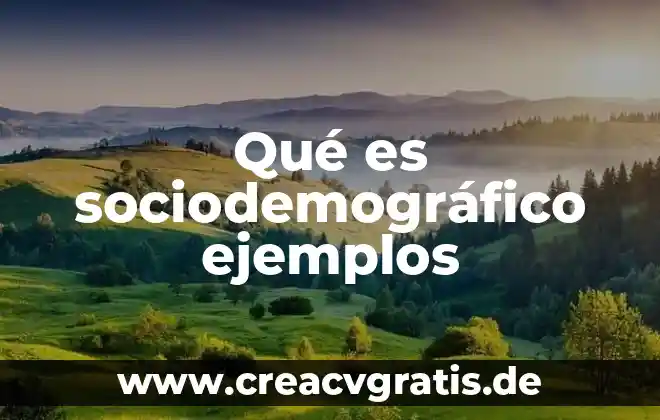 Qué es la rima y sus tres tipos con ejemplos 3 Qué es sociodemográfico ejemplos