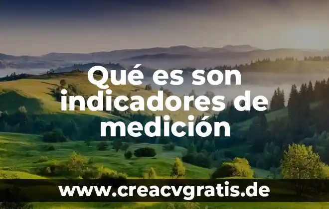Que es son las comas 3 Qué es son indicadores de medición