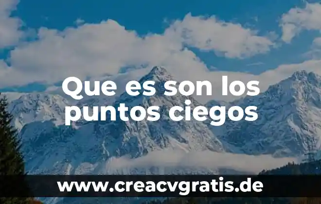 Puntos card que es 3 Que es son los puntos ciegos