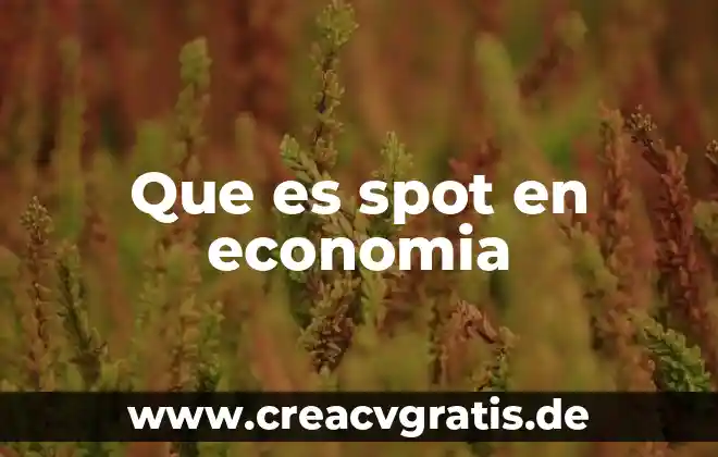 Para que es importante el hierro en el embarazo 3 Que es spot en economia