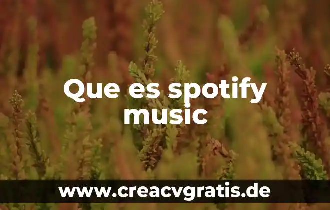 Que es skio music 3 Que es spotify music