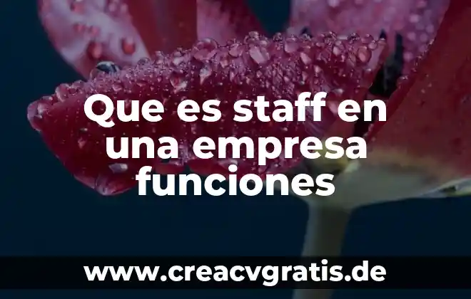 Que es compromiso y tipos de compromiso en una empresa 7 Que es staff en una empresa funciones