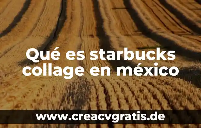 Que es la violencia y tipos de violencia collage 5 Qué es starbucks collage en méxico