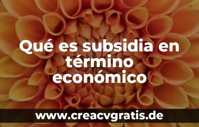 ¿Qué es el término caloria? 3 Qué es subsidia en término económico