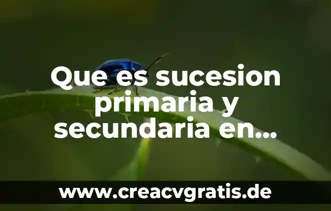 Qué es una sucesión numérica y cuantos tipos existen 7 Que es sucesion primaria y secundaria en ecologia