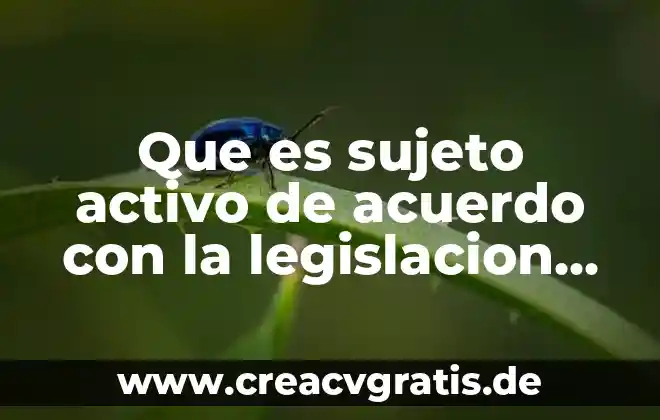 Que es un sujeto tipos de sujeto y su estructura 5 Que es sujeto activo de acuerdo con la legislacion fiscal
