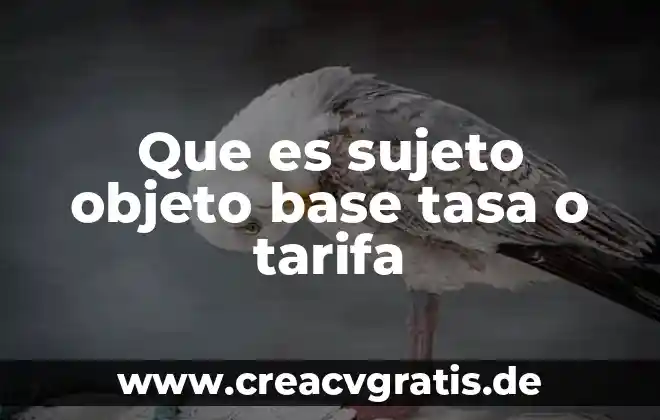Que es un sujeto tipos de sujeto y su estructura 8 Que es sujeto objeto base tasa o tarifa