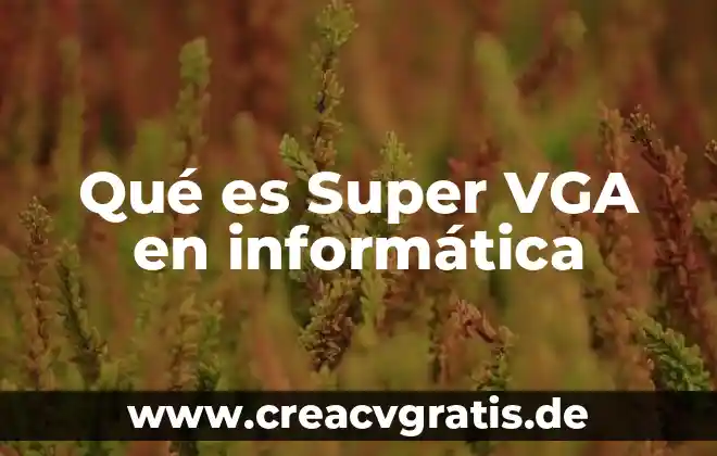 Que significa o que es un faq en informatica 5 Qué es Super VGA en informática