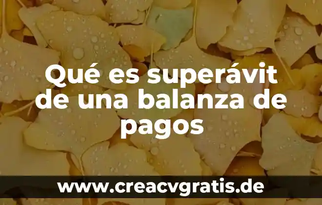 Que es mejor una balanza digital o mecanica 3 Qué es superávit de una balanza de pagos