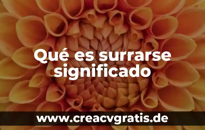 Qué es salud significado 4 Qué es surrarse significado