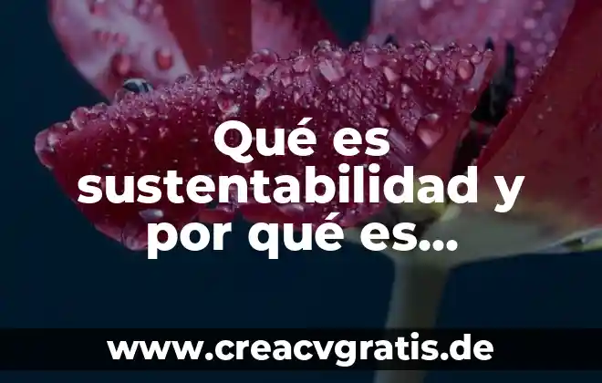 Que es el calentamiento y porque es importante realizarlo 3 Qué es sustentabilidad y por qué es importante