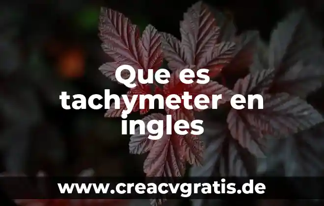 Qué es berrinche significado 3 Que es tachymeter en ingles