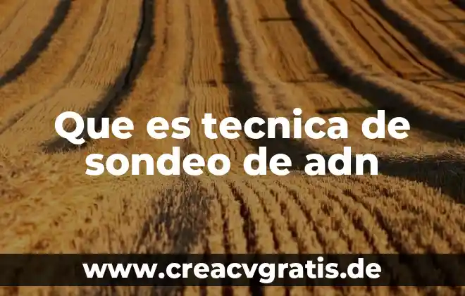 Que es la miroextraccion en fase solida 8 Que es tecnica de sondeo de adn