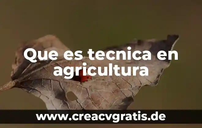 Qué es la técnica para analizar los textos 8 Que es tecnica en agricultura