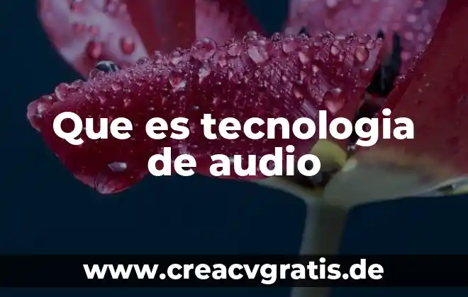 Qué es estudio y formatos de audio 8 Que es tecnologia de audio