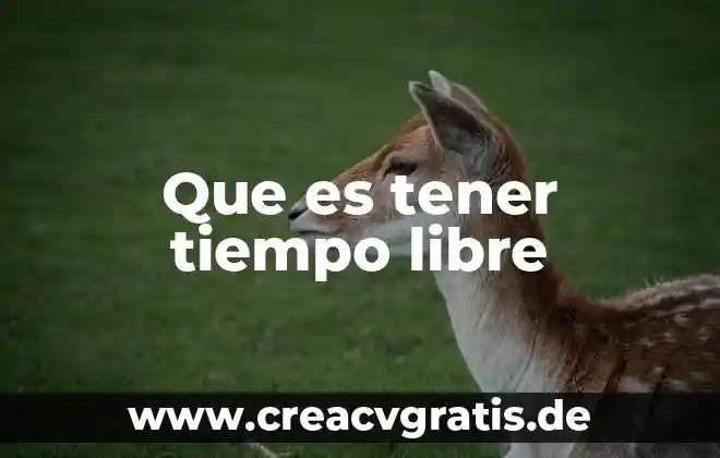 Qué es el tiempo y el espacio según la filosofía 4 Que es tener tiempo libre
