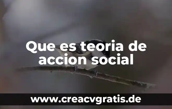 Qué es una teoría psiquiátricas 4 Que es teoria de accion social