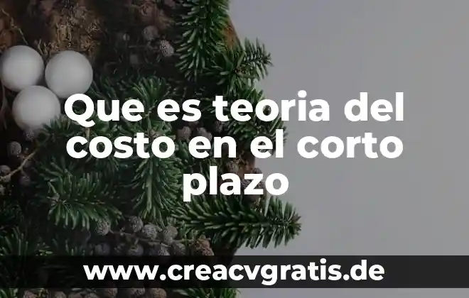 Que es la discriminina significado corto 3 Que es teoria del costo en el corto plazo