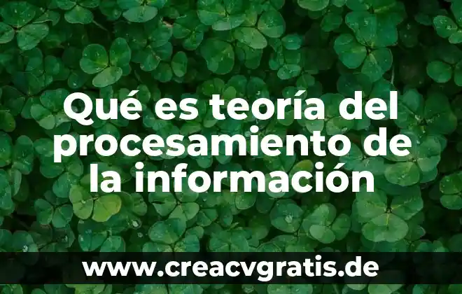 Que es el acceso a la informacion 5 Qué es teoría del procesamiento de la información