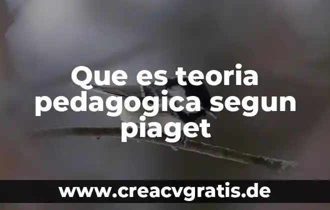 Que es ser proactivos segun peter drucker 8 Que es teoria pedagogica segun piaget