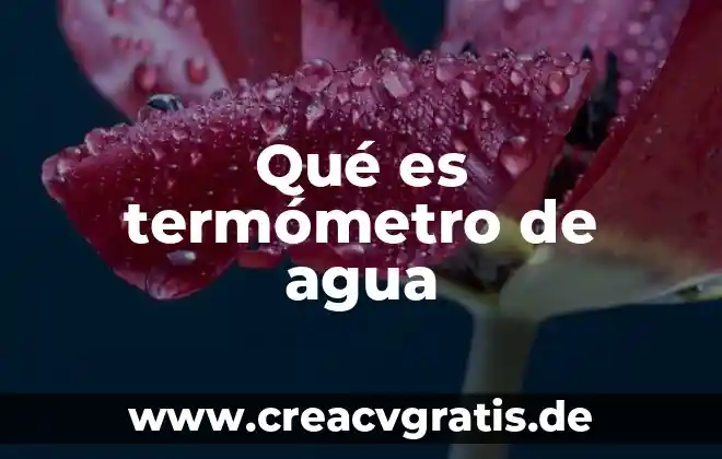 Agua de soda que es 3 Qué es termómetro de agua