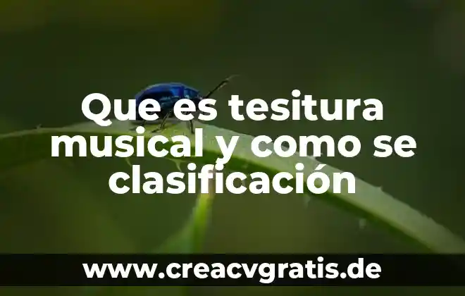 En pocas palabras que es la luna 8 Que es tesitura musical y como se clasificación