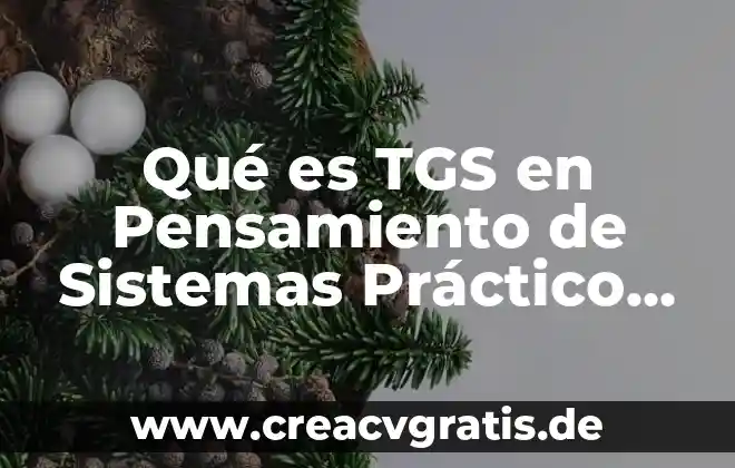 Qué es un depósito efectivo práctico 6 Qué es TGS en Pensamiento de Sistemas Práctico de Sistemas