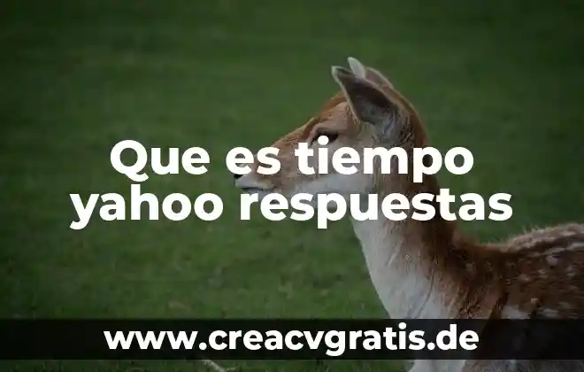 Que es mas valioso el tiempo o el dinero 4 Que es tiempo yahoo respuestas