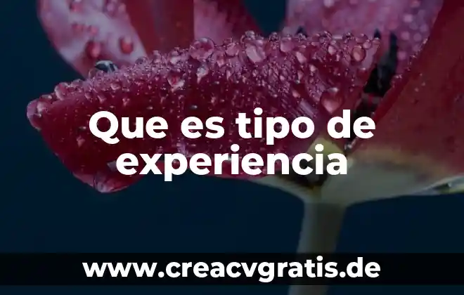 Que es necesario para tener licencia tipo e rapido 4 Que es tipo de experiencia