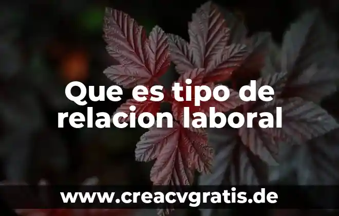 Puede ser que es princesa 6 Que es tipo de relacion laboral