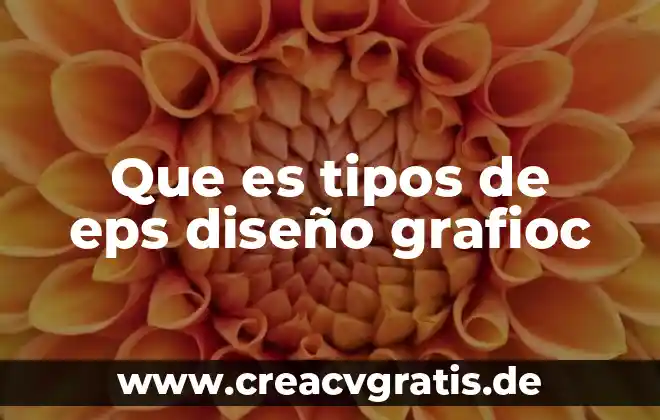 Que es una funcion en excel y tipos 6 Que es tipos de eps diseño grafioc