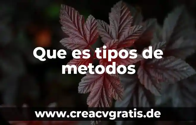 Que es una funcion en excel y tipos 7 Que es tipos de metodos