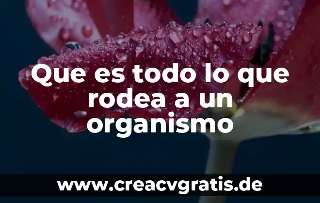 Que es la ley del todo o nada 5 Que es todo lo que rodea a un organismo