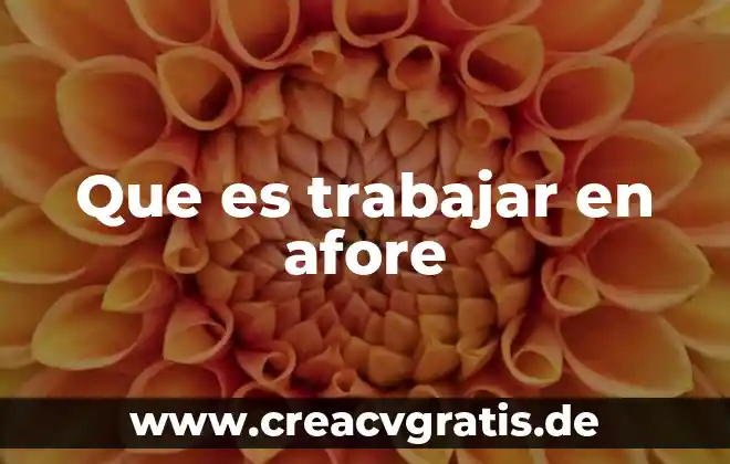 Que es trabajar con la santa muerte 3 Que es trabajar en afore