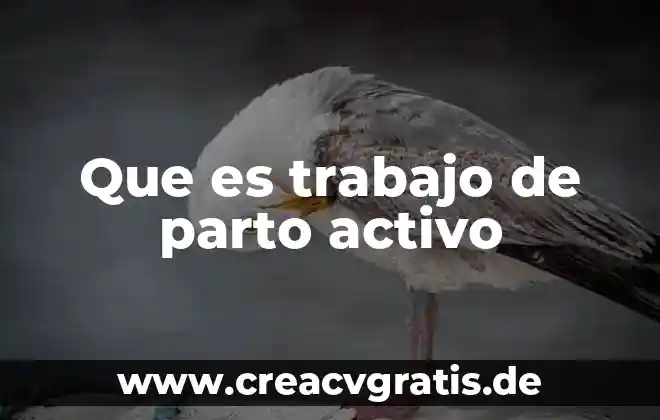Explicacion de que es embarazo parto y lactancia 3 Que es trabajo de parto activo