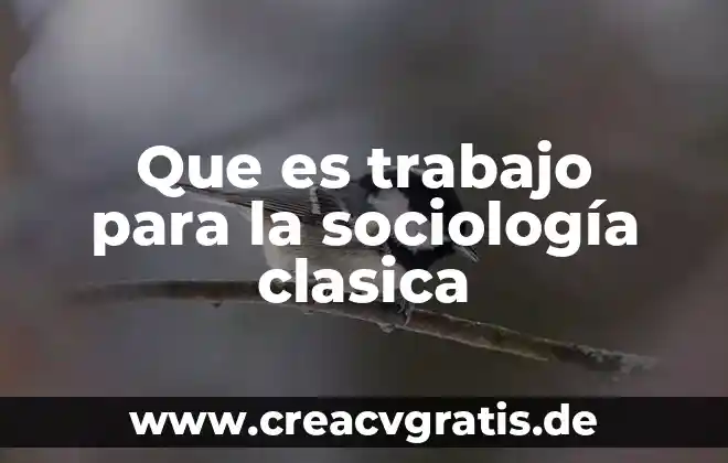 Qué es el hombre en sociología 4 Que es trabajo para la sociología clasica