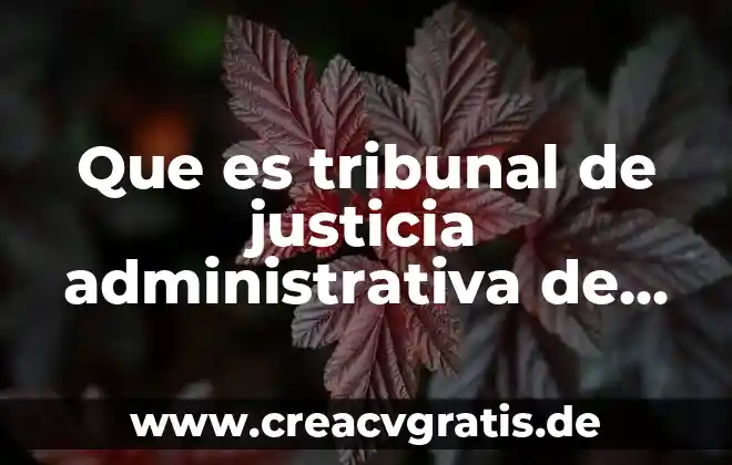 Fiesta del Sol en Baja California Norte que es 7 Que es tribunal de justicia administrativa de baja california