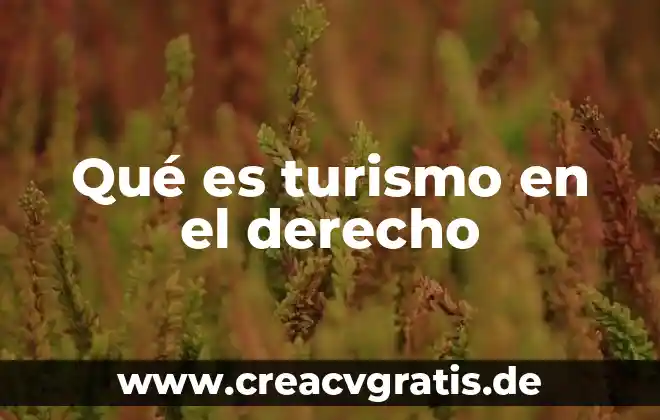Que es una actividad de turismo alternativo 4 Qué es turismo en el derecho