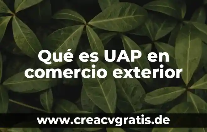 Que es lo que busca méxico con el comercio internacional 8 Qué es UAP en comercio exterior