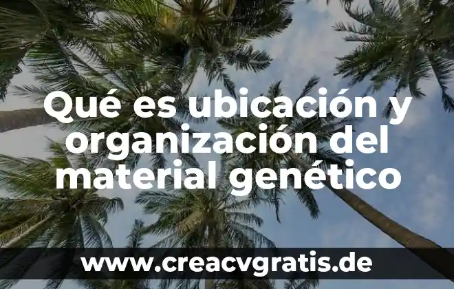 Que es mensaje en organizacion de la informacion 4 Qué es ubicación y organización del material genético