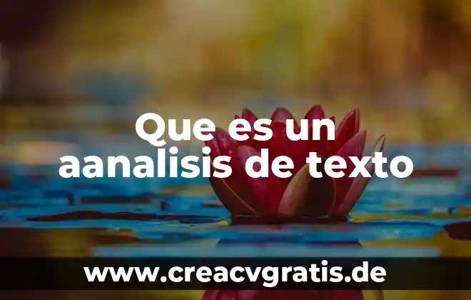 Que es una firma y texto 5 Que es un aanalisis de texto