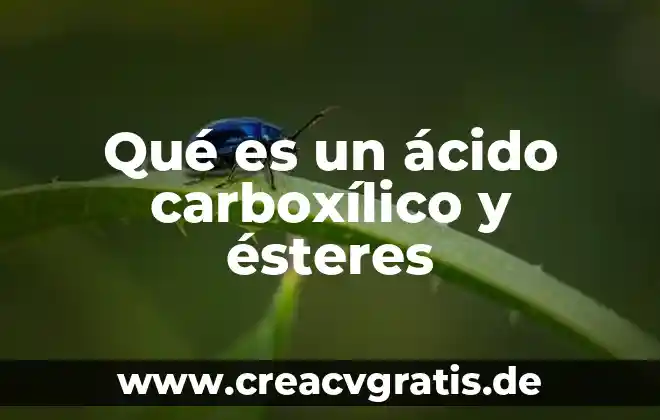 Qué es el sabor ácido 3 Qué es un ácido carboxílico y ésteres