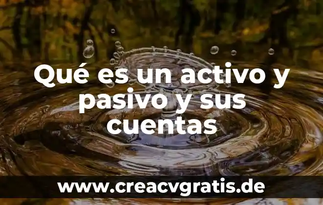 Asociación de cuentas que es 6 Qué es un activo y pasivo y sus cuentas