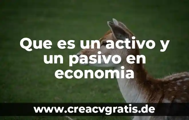 Libros que es gasto en economía 7 Que es un activo y un pasivo en economia