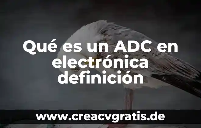 Qué es una firma electrónica base 64 4 Qué es un ADC en electrónica definición