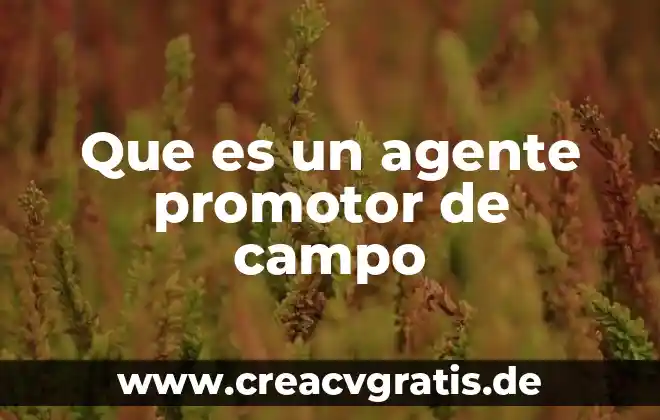 Que es el musulmanismo y sus tipos 6 Que es un agente promotor de campo